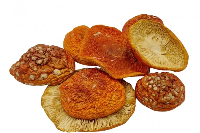 Шляпки мухомора червоного сушені- фото № 1