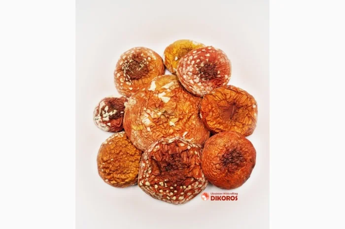 Мухомор - Высокое качество и низкие цены- фото № 2