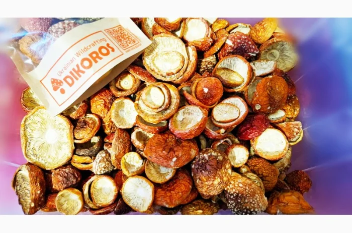 Мухомор - Высокое качество и низкие цены- фото № 1