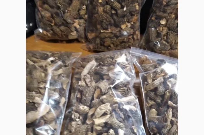 Сушені гриби зморшки на продаж- фото № 1