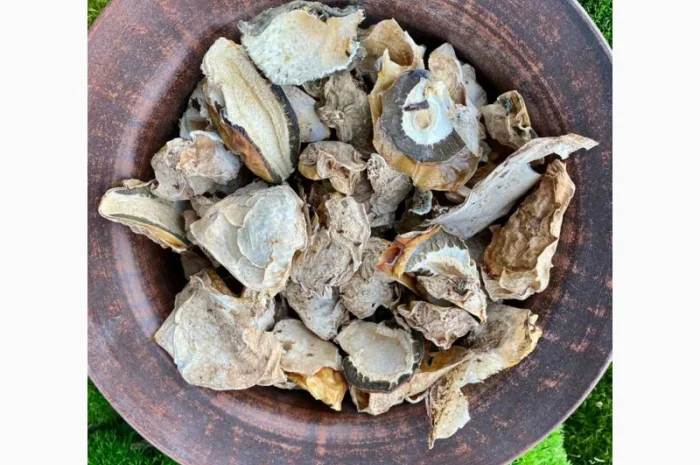 Сушені яйця гриба веселка- фото № 1