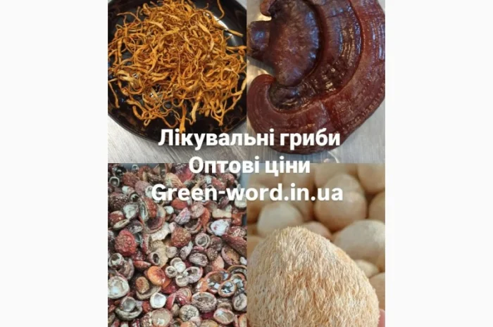 Лікувальні гриби на продаж- фото № 1
