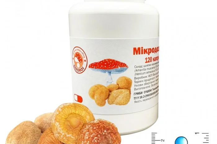 Мікродозінг MIX (Їжовик + мухомор червоний) для продажу- фото № 3