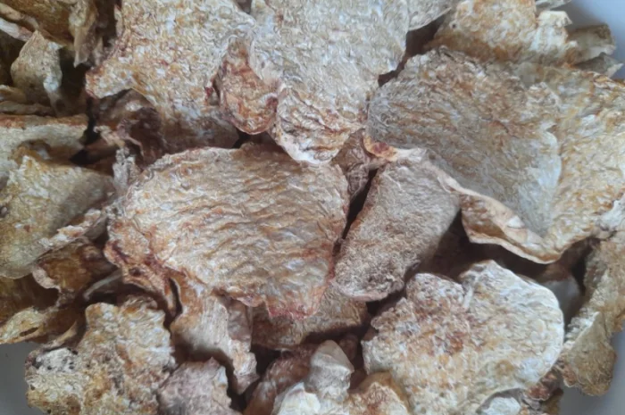 Продажа сушеного белого трюфеля- фото № 2