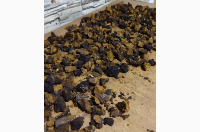 Продажа чаги: экстракт и сушеный гриб- фото № 3