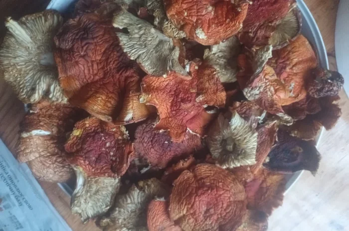 Червоний мухомор мелений 300г в наличии- фото № 2