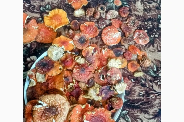 Червоний мухомор мелений 300г в наличии- фото № 3