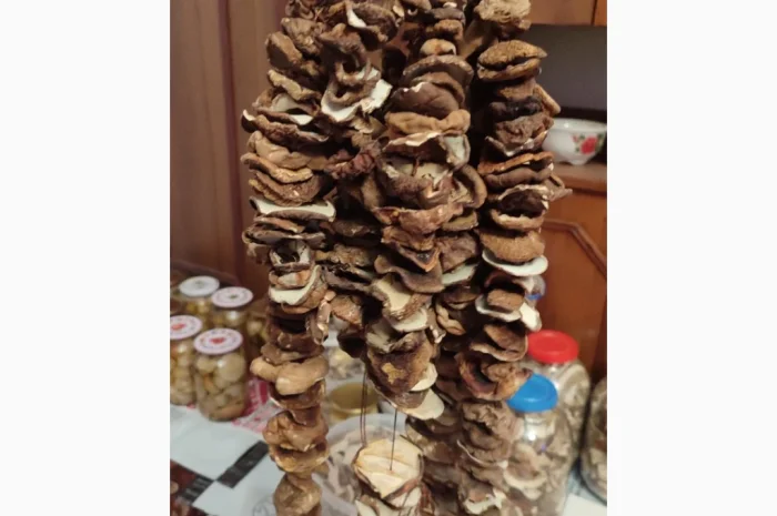 Шапочки білих грибів на продаж- фото № 1