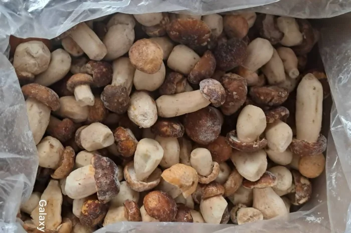 Продажа заморожених білих грибів Пікало- фото № 1