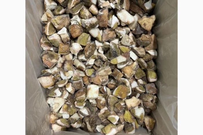 Продажа белых грибов замороженных по 250 грн за килограмм- фото № 1