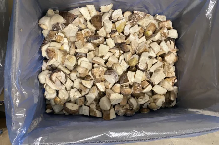 Продаж білих грибів заморожених 360 грн за кілограм- фото № 2