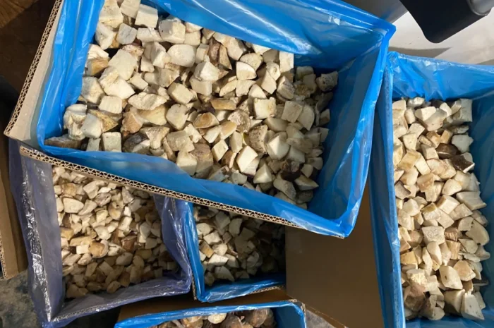 Продаж білих грибів заморожених 360 грн за кілограм- фото № 3