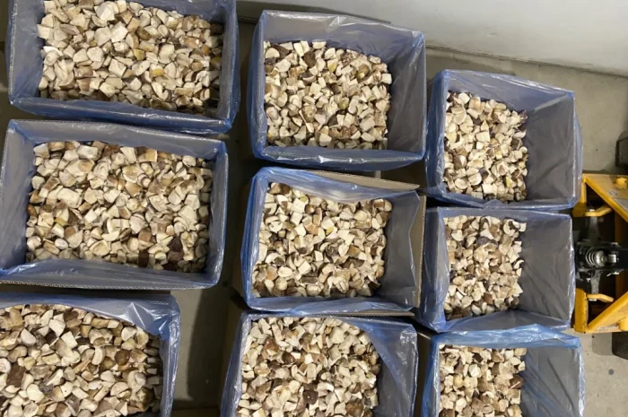 Продаж білих грибів заморожених 360 грн за кілограм- фото № 4