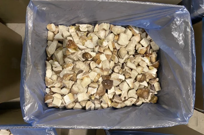 Продаж білих грибів заморожених 360 грн за кілограм- фото № 5