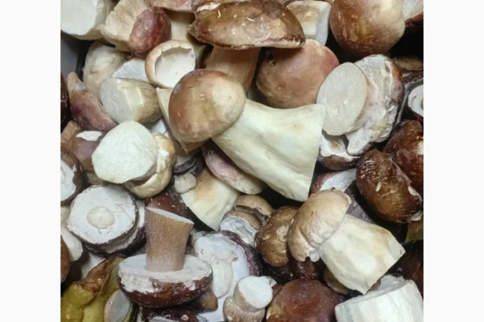 Заморожені білі гриби- фото № 3