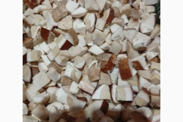 Продаж замороженого білого гриба кубиком- фото № 1