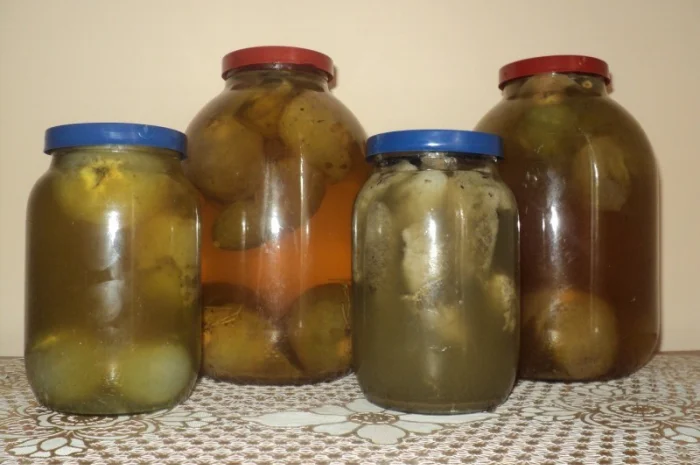 Настойка лечебного гриба "Веселка" 1л- фото № 1