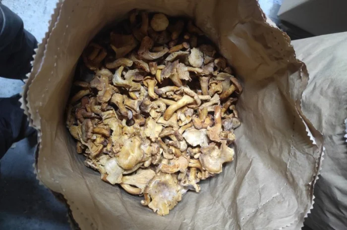 Лисички заморожені на продаж- фото № 1