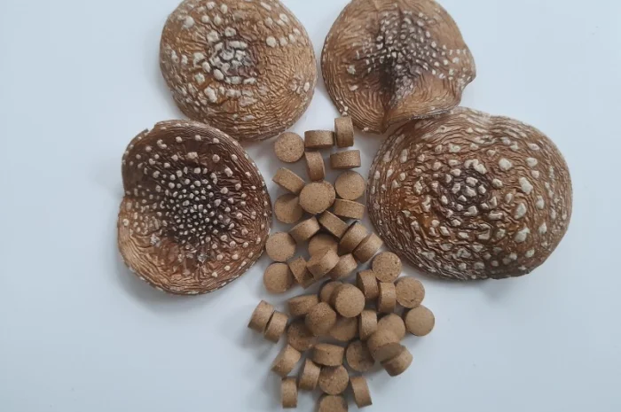 Гранулы пантерного мухомора- фото № 2