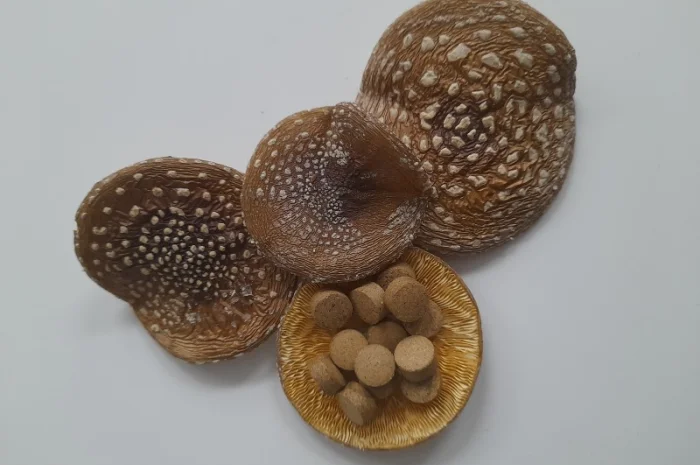 Гранулы пантерного мухомора- фото № 3