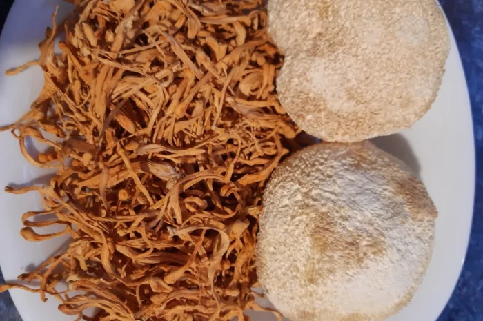 Продаж ежовика і кардіцепса- фото № 1