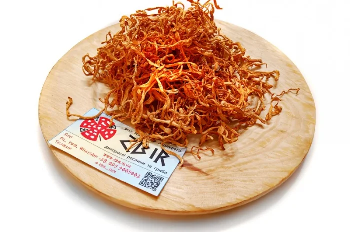 Кордіцепс військовий для відновлення енергії- фото № 1