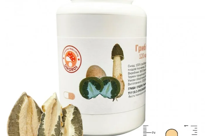 Гриб “Веселка” в капсулах для здоров'я- фото № 3