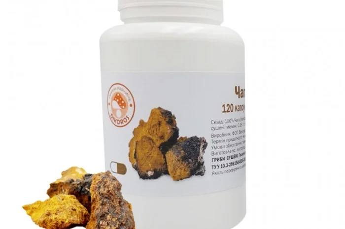 Гриб “Чага” в капсулах 120 шт.- фото № 1