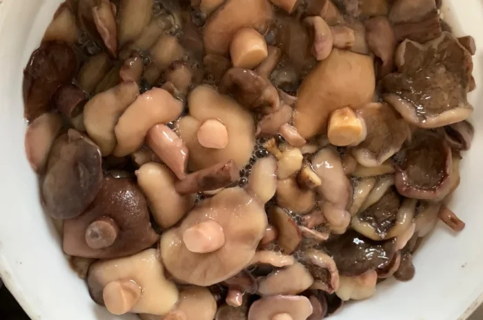 Продаж варено-солених грибів- фото № 4