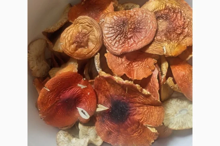 Червоний мухомор, 3500 за кілограм- фото № 1