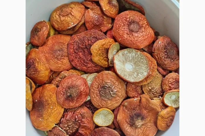 Продаж червоного мухомора- фото № 1