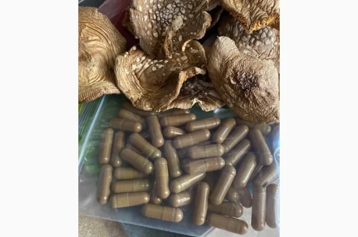 Мухомор пантерній в капсулах для покращення настрою- фото № 1