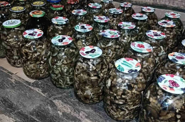 Мариновані опята в банках- фото № 1