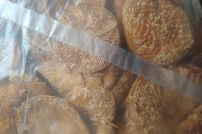 Продаж Мухомора Червоного | Красного Мухомора- фото № 5