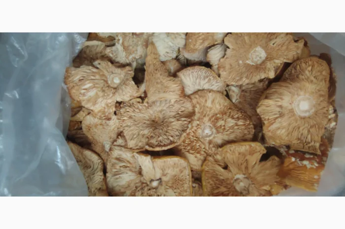 Продаж Мухомора Червоного | Красного Мухомора- фото № 6