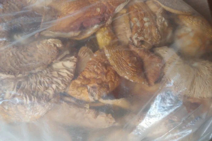 Продаж Мухомора Червоного | Красного Мухомора- фото № 8