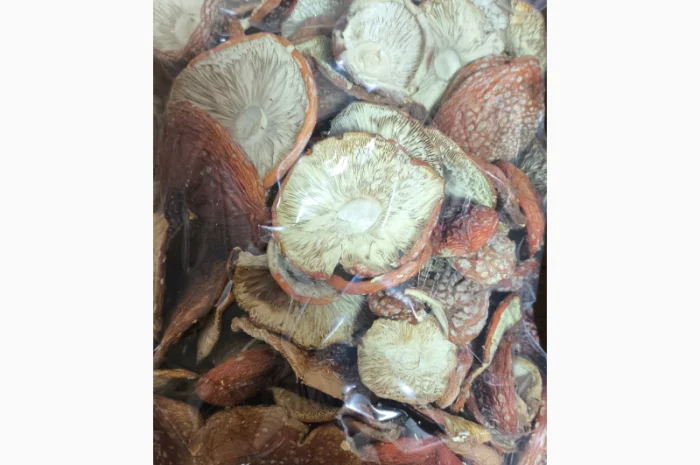 Продаю Мухомор Червоний, 15 кг- фото № 1