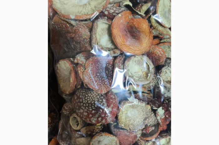 Продаю Мухомор Червоний, 15 кг- фото № 2