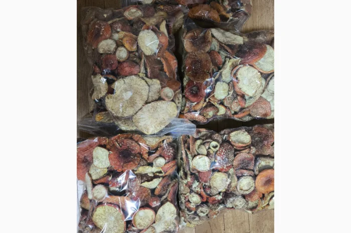 Продаю Мухомор Червоний, 15 кг- фото № 3