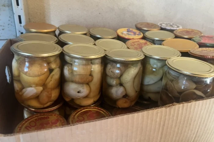 Продаж маринованих білих грибів- фото № 1