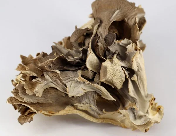 Продаж мухомора 1 сорту- фото № 2