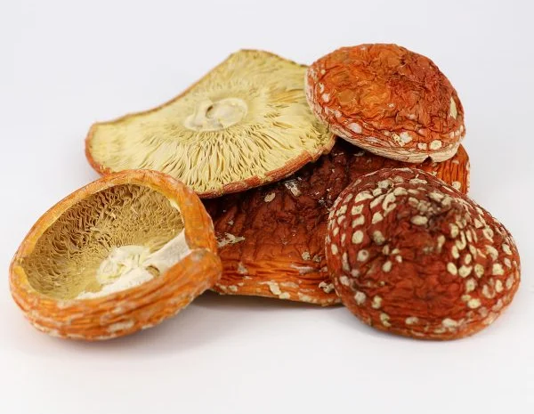 Продаж червоного мухомора та інших грибів- фото № 1