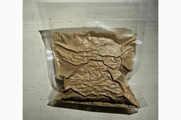 Продажа Мухомора Королівського- фото № 10