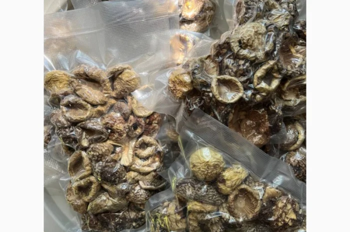 Продажа Мухомора Королівського- фото № 2