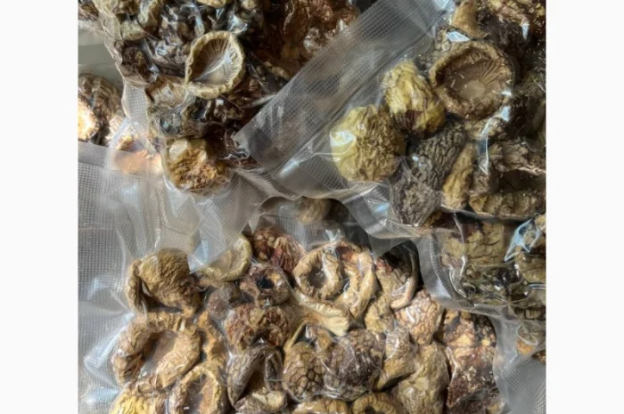 Продажа Мухомора Королівського- фото № 3