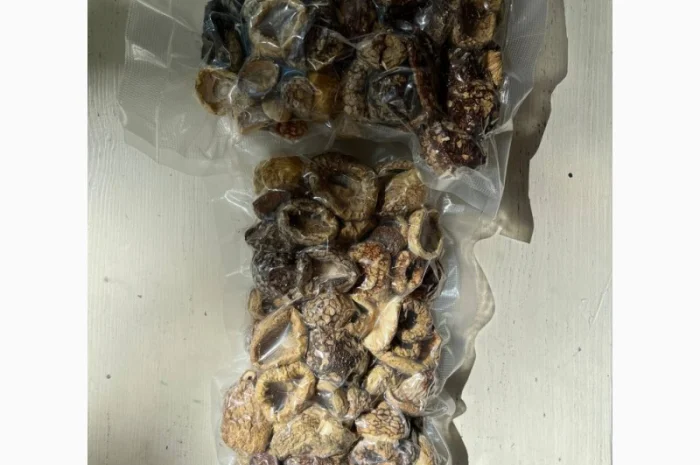 Продажа Мухомора Королівського- фото № 4