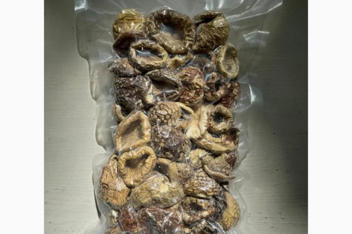 Продажа Мухомора Королівського- фото № 5