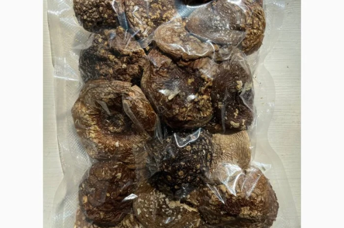 Продажа Мухомора Королівського- фото № 6