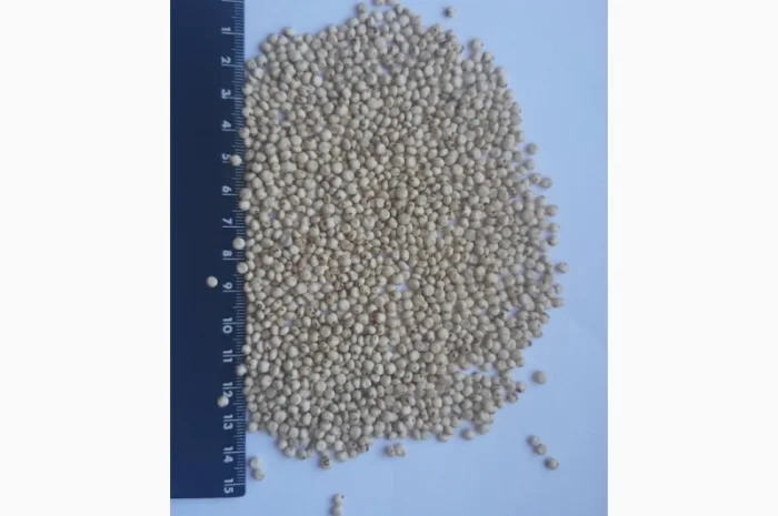 Сорго біле на продаж- фото № 1