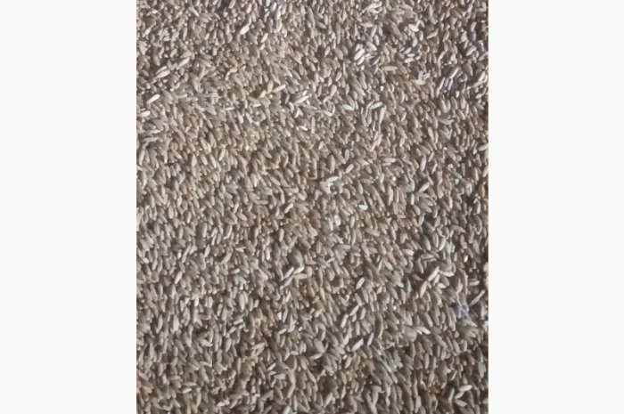 Продажа очищенного жита- фото № 1